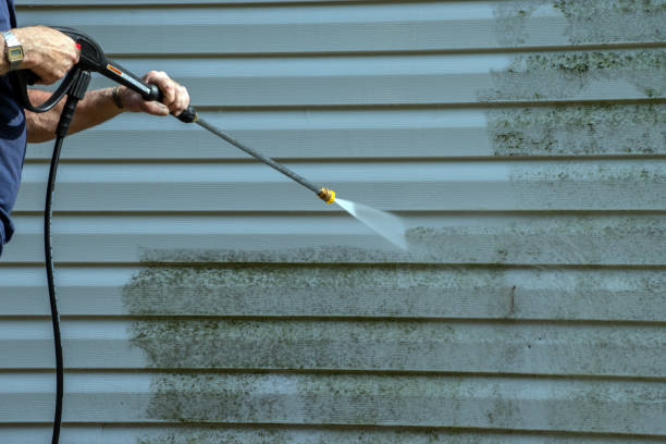 Best Roof Power Washing Services  in Ventnor City, NJ